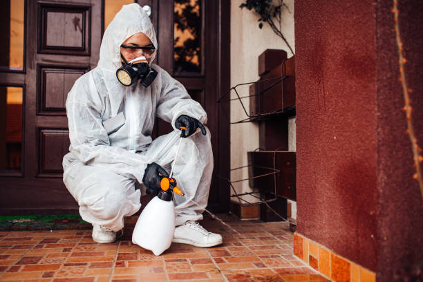 Reliable Bed Bug Control contractor in Herculaneum, MO by Nex Pest Control
